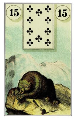 Orso