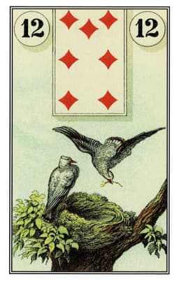 Uccelli