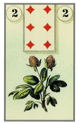 Quadrifoglio