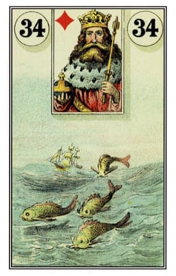 Pesci