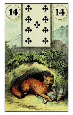Volpe
