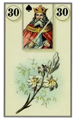 Giglio