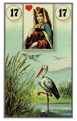 Cicogna