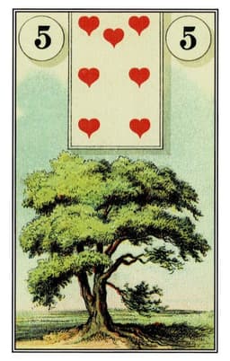 Albero
